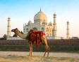 agra-india